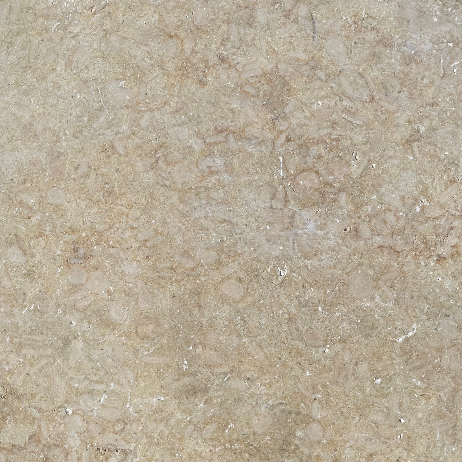 Kalkstein Terrassenplatte Catrina 60x40x3 cm gelb-beige Detail 5