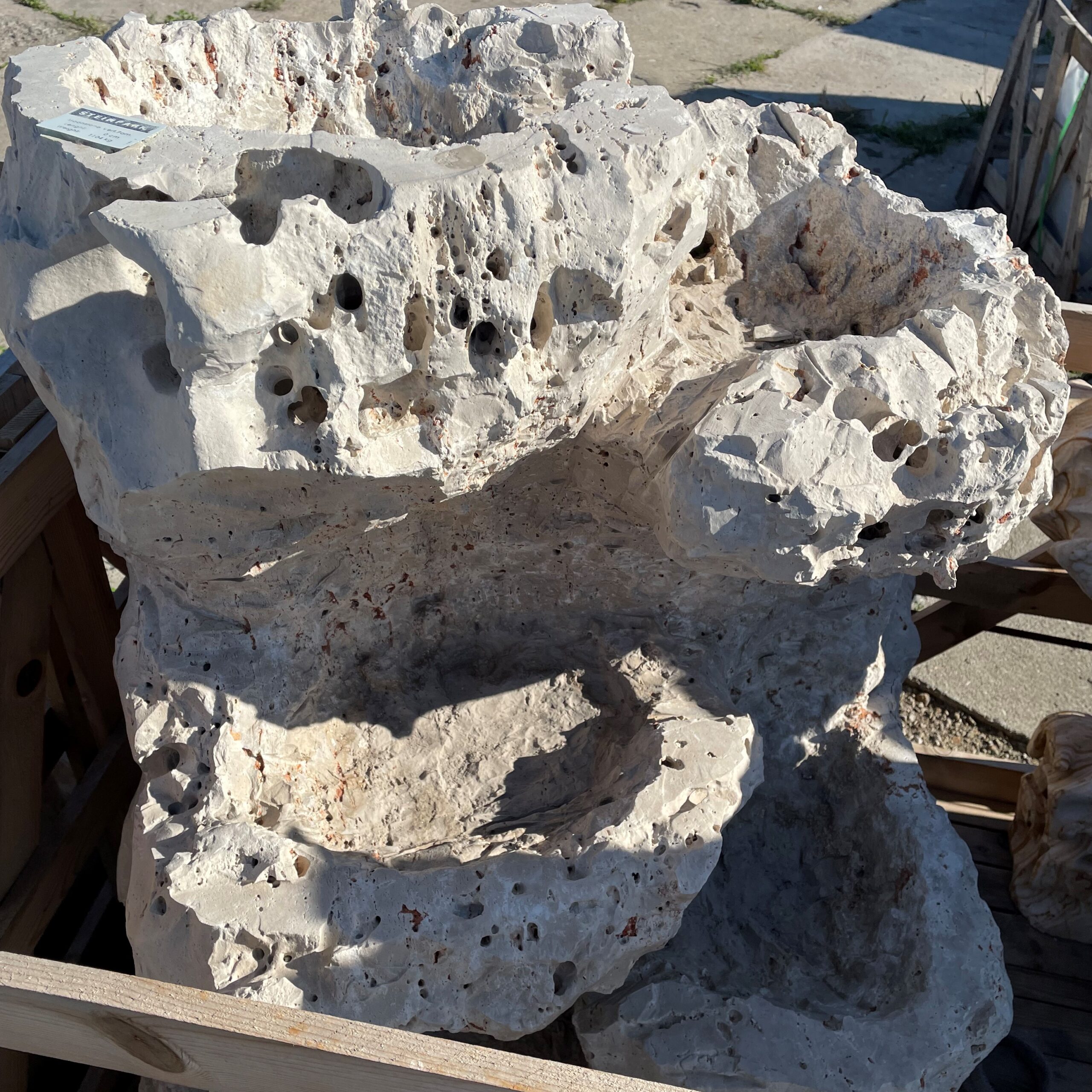 Zierfindling Poolstone bunt