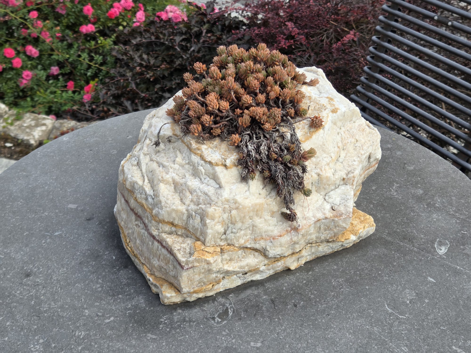 Zierfindling Flower Stone Einzelstücke zwischen 10 und 40 kg