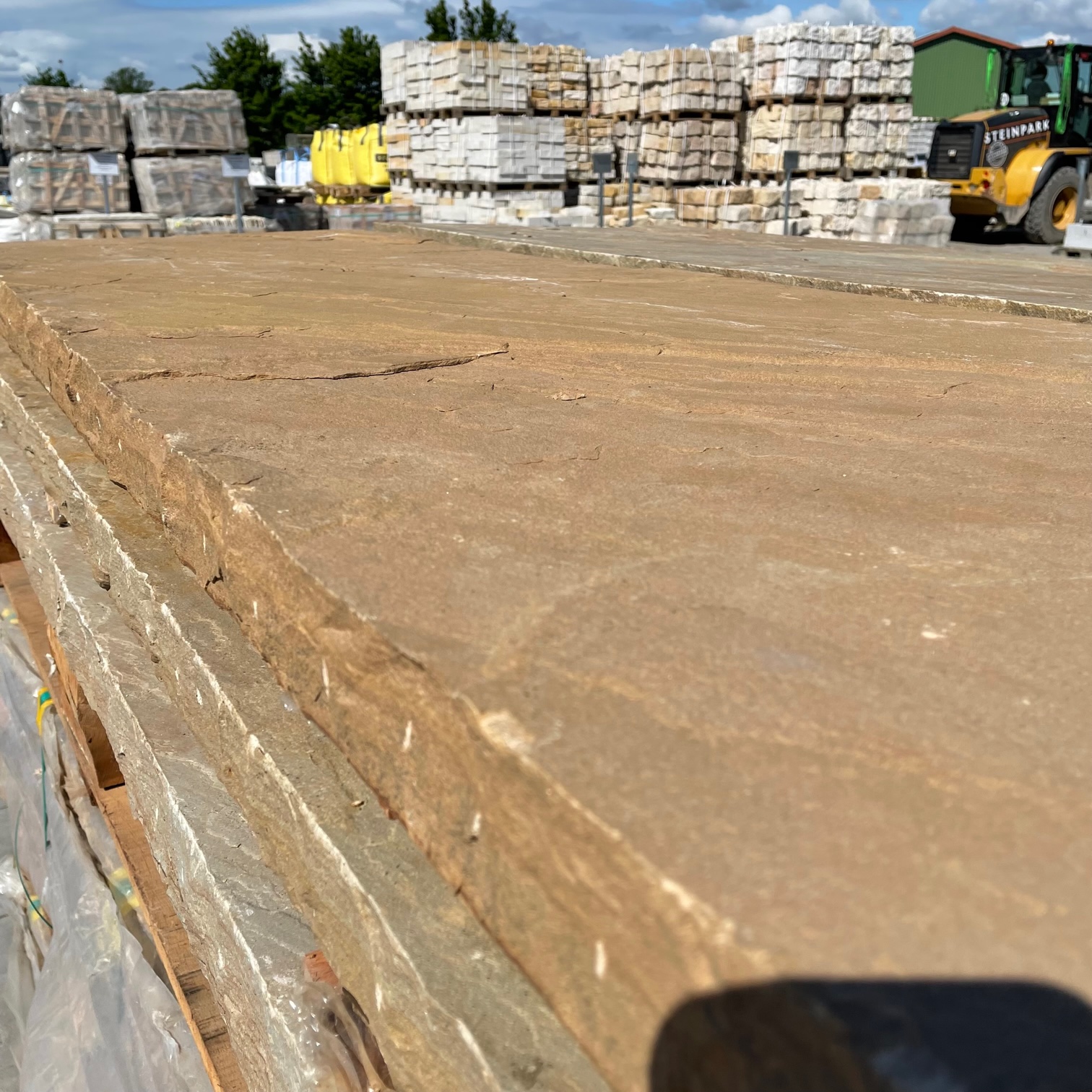 Quarz-Sandstein Sichtschutzstele Toskana 6x50x250 cm gelblich-rötlich-beige-bunt Detail 1