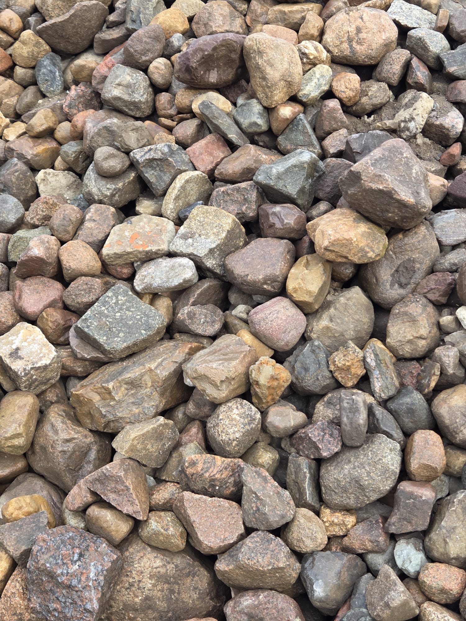 Lesesteine Granit ca. 100-300 mm bunt meist natürlich gerundet Lesesteine Granit ca. 100-300 mm bunt meist natürlich gerundet