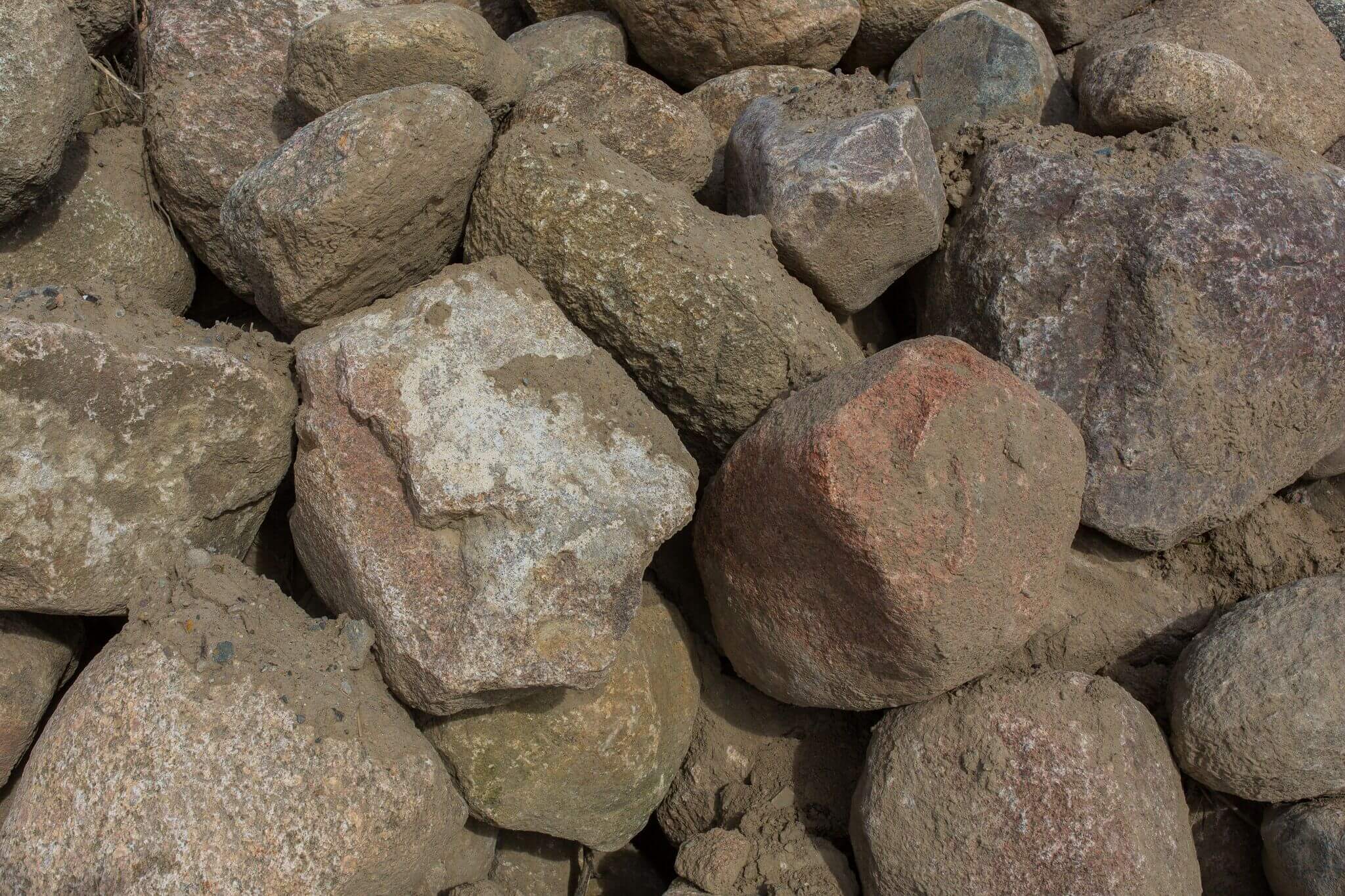 Granit Eiszeitfindling 60-120 cm natürlich gerundet Detail 4