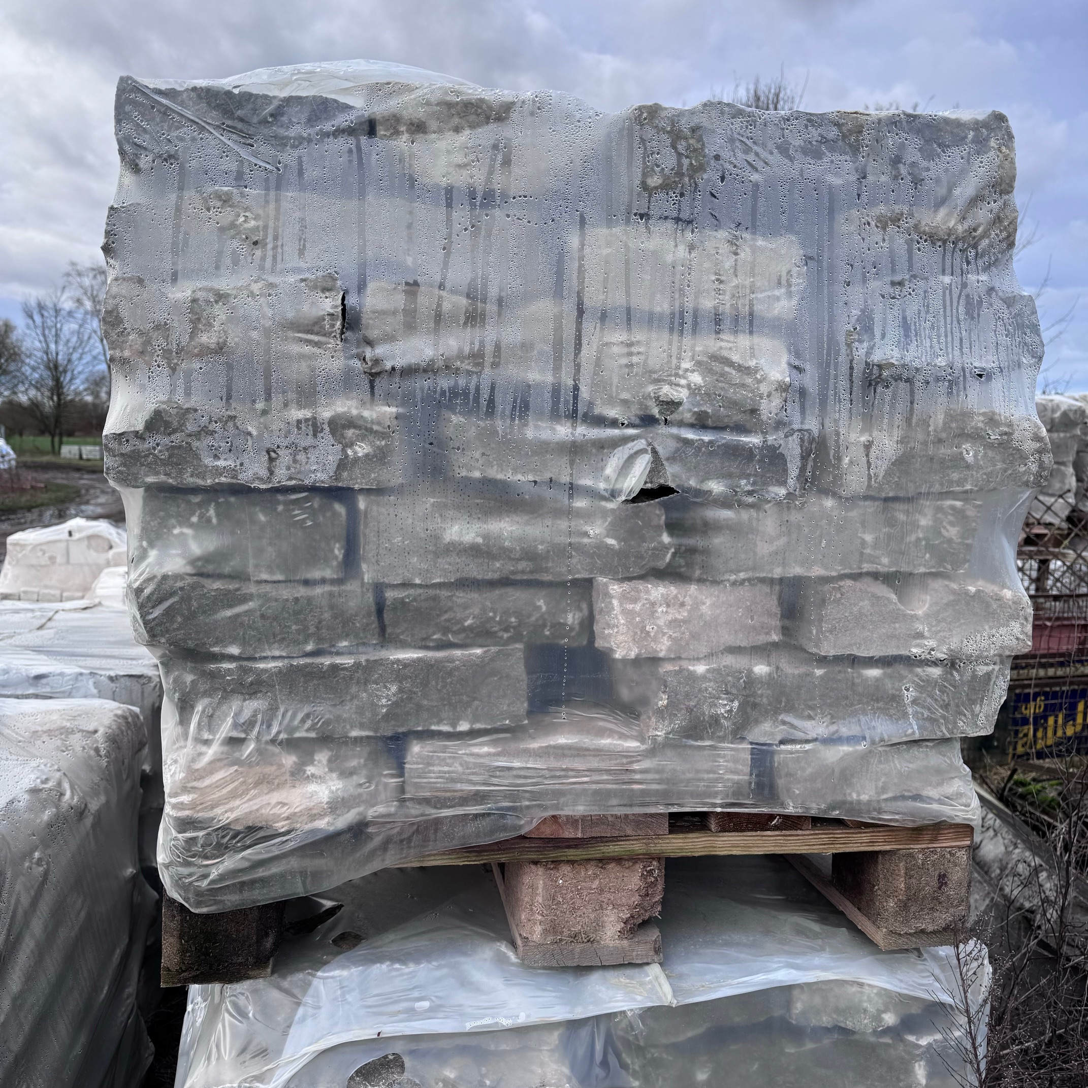 Muschelkalk Mauerwerk 8-14x15-25x15-50 cm grau-braun-bunt palettiert Detail 1