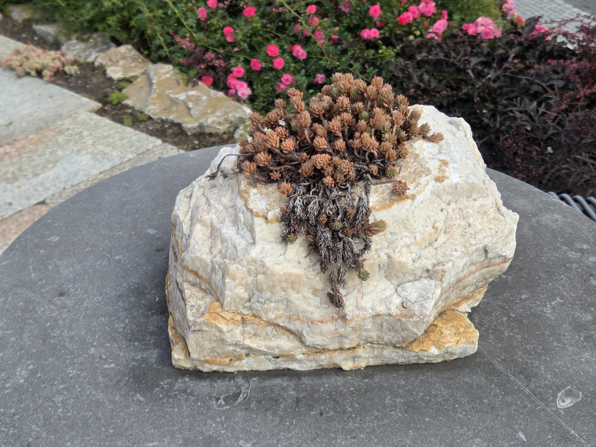 Zierfindling Flower Stone Einzelstücke zwischen 10 und 40 kg