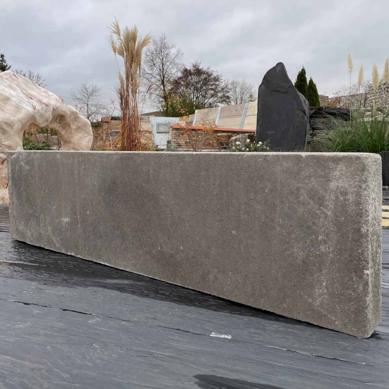 Kalkstein Kantenstein Alexandria 6x25x100 cm grau-bräunlich Detail 1