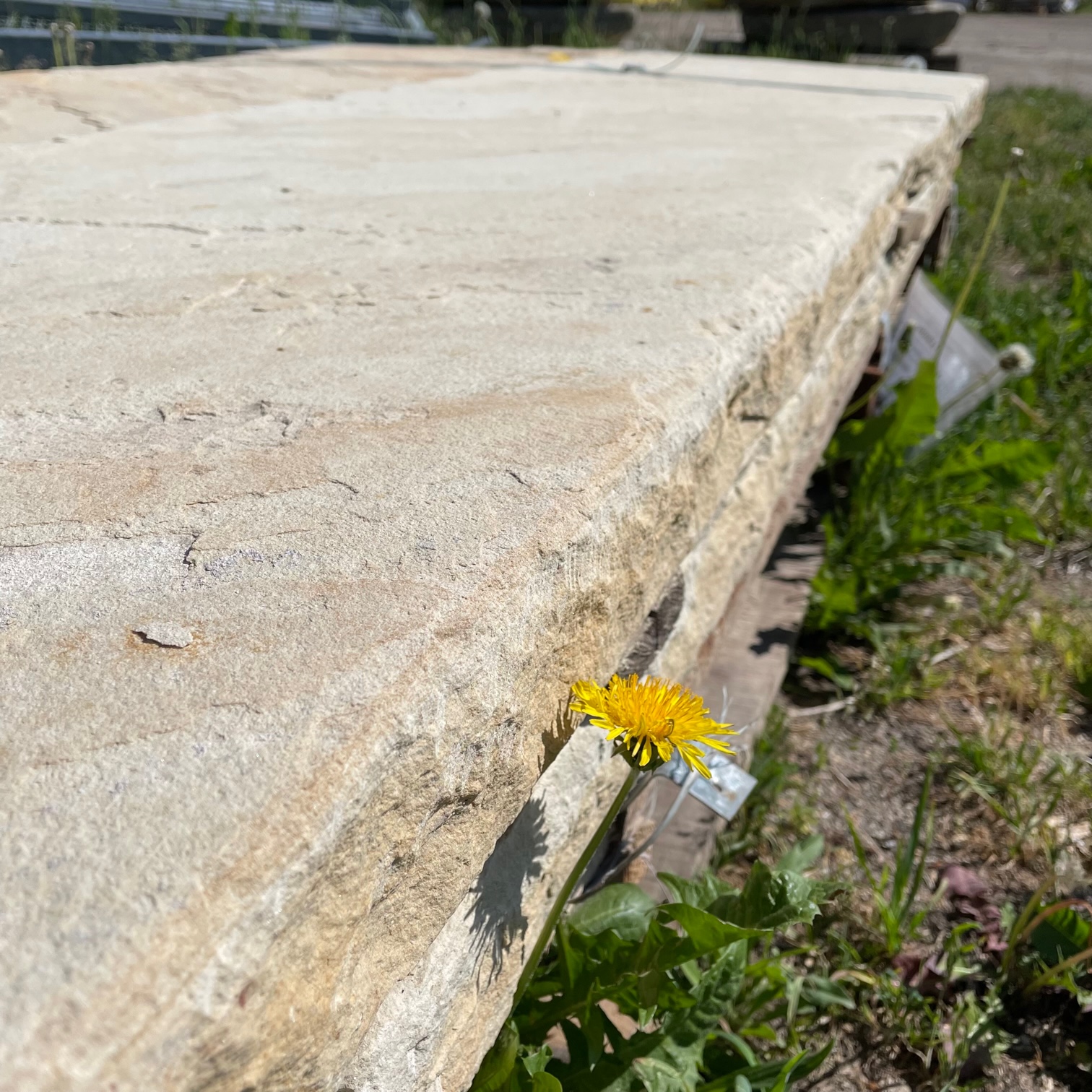 Quarz-Sandstein Sichtschutzstele Golden Sun 6x50x250 cm gelb-grün-bunt Detail 1