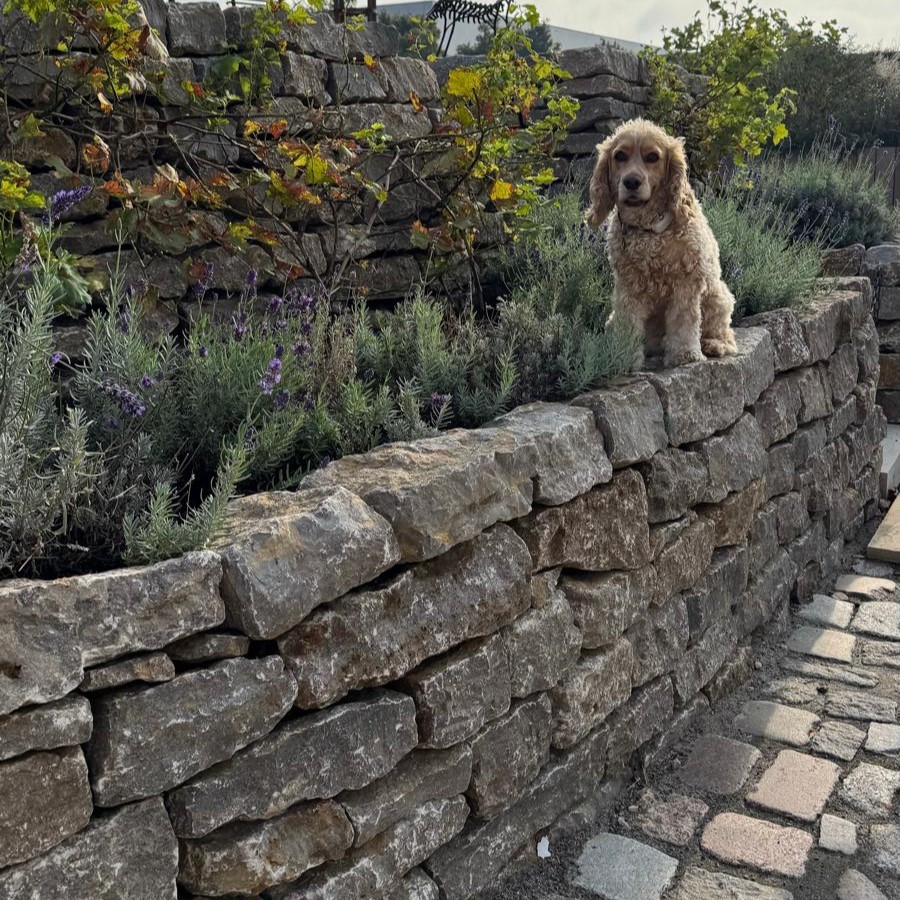 Muschelkalk Mauerwerk 8-15x15-20x20-50 cm maschinengespalten Detail 3