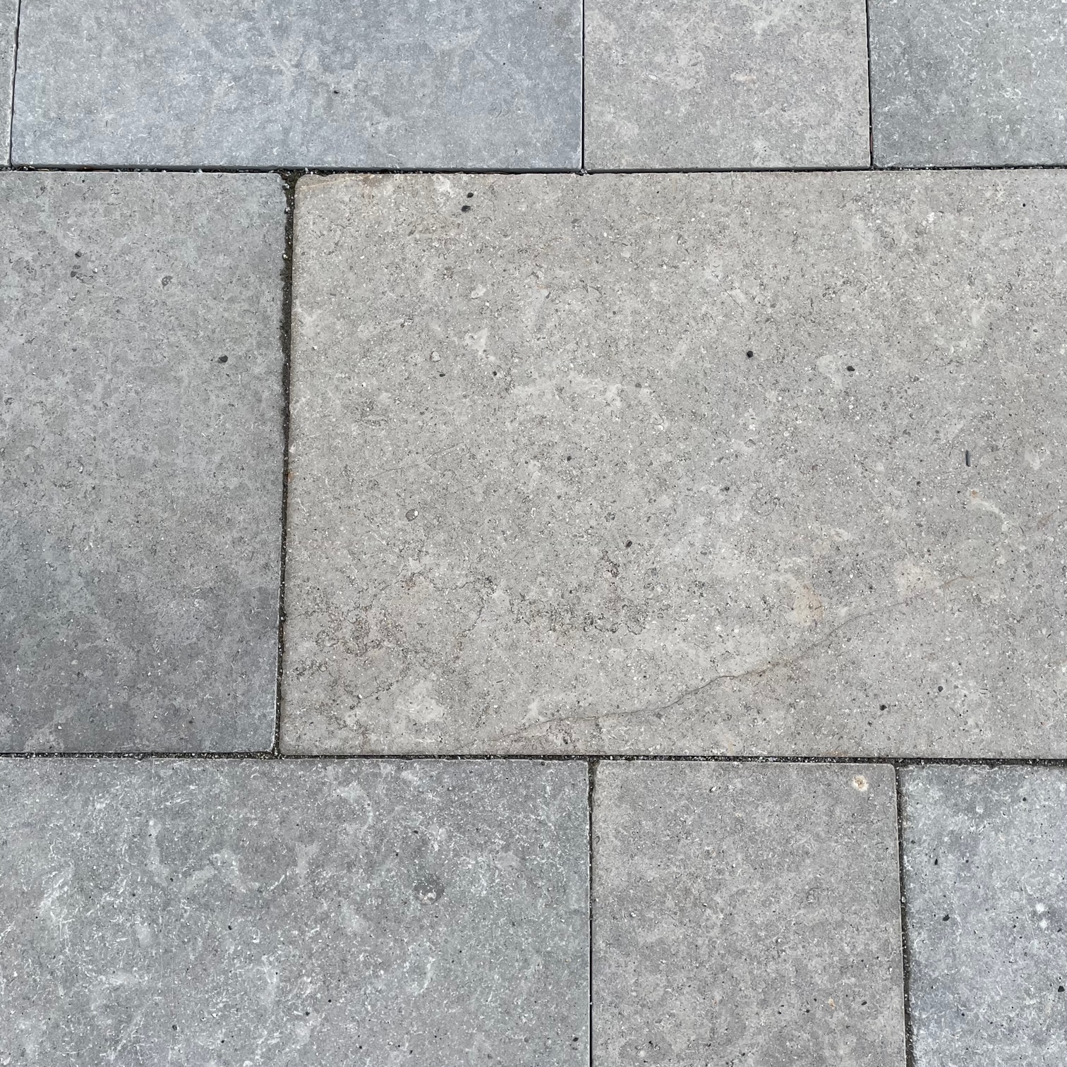 Kalkstein Terrassenplatte Alexandria 60x40x3 cm bräunlich-grau Detail 2