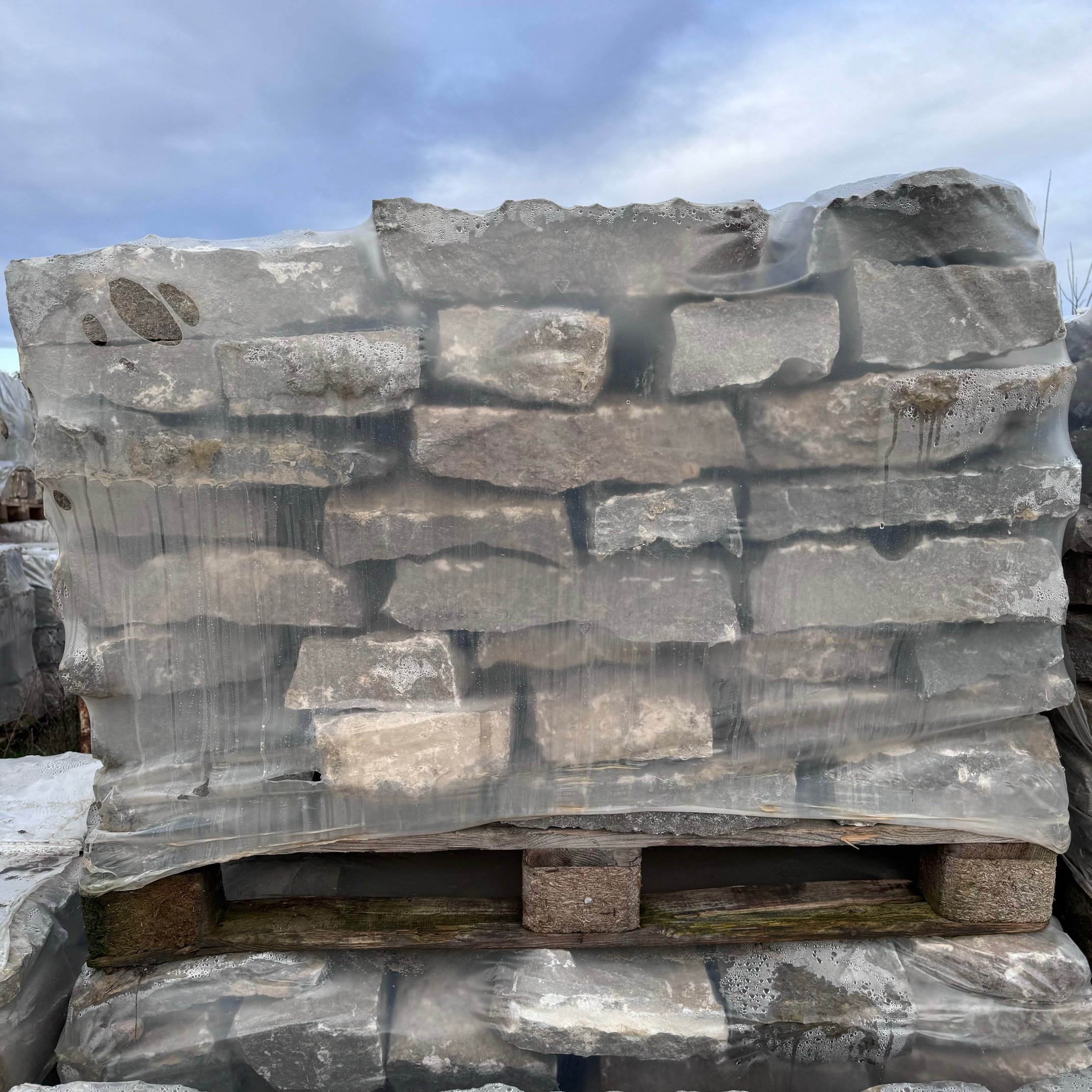 Muschelkalk Mauerwerk 8-14x15-25x15-50 cm grau-braun-bunt palettiert Detail 2