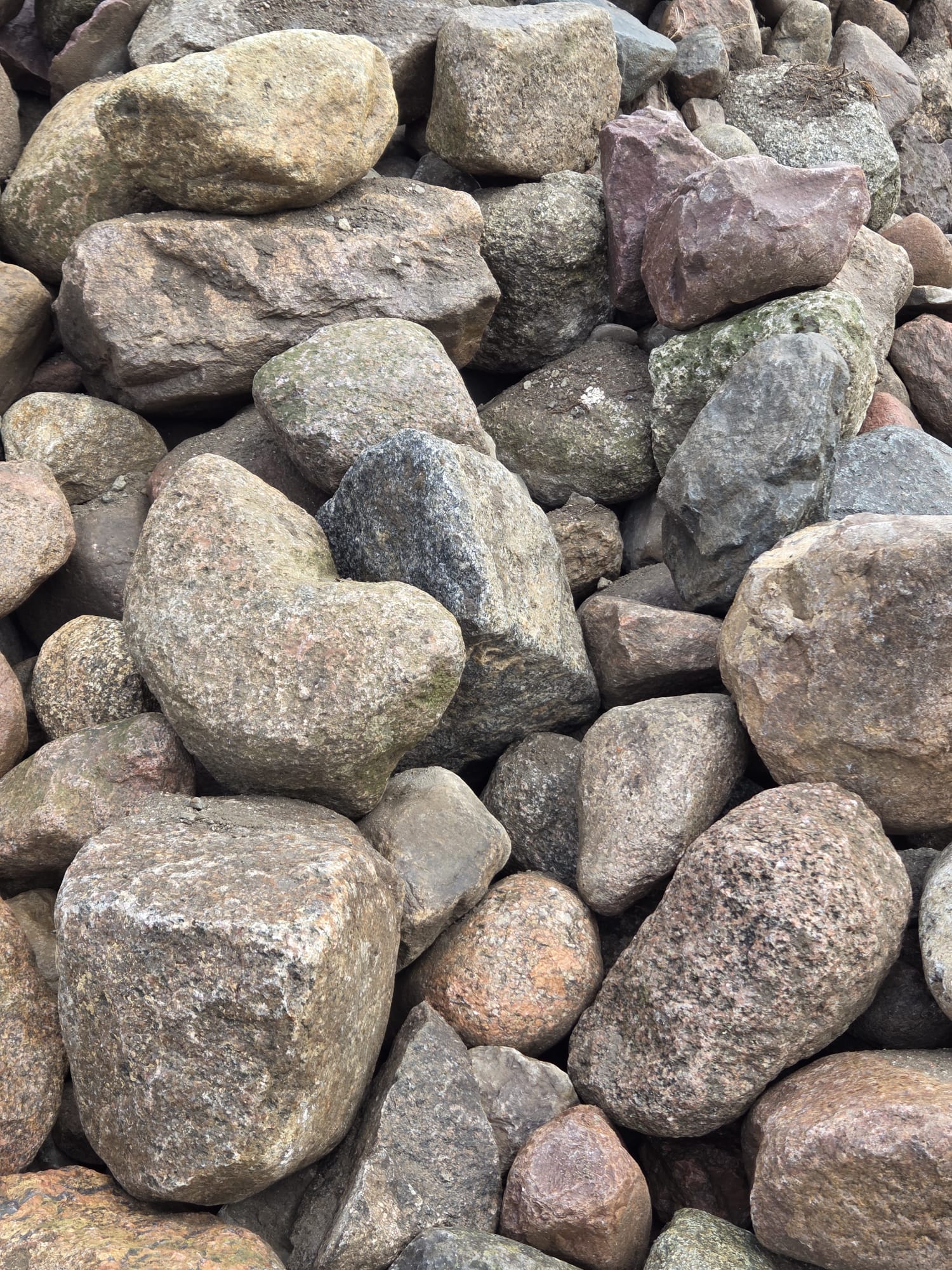 Lesesteine Granit ca. 20-50 cm bunt meist natürlich gerundet Lesesteine Granit ca. 20-50 cm bunt meist natürlich gerundet