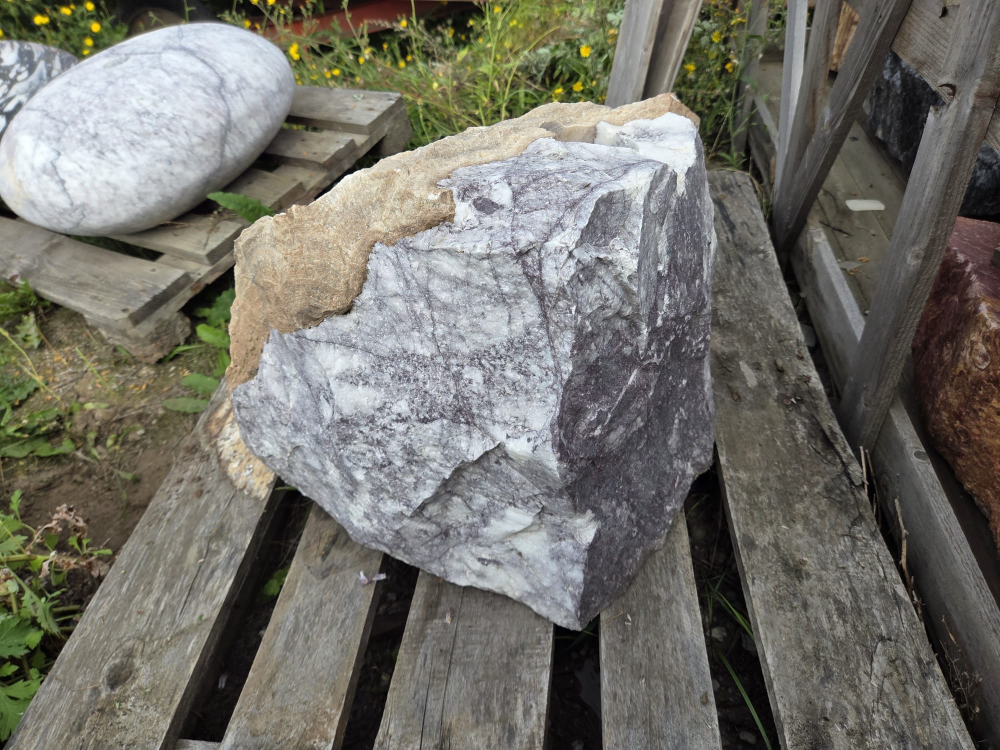 Zierfindling Flower Stone Blueberry Einzelstück 132 kg Zierfindling Flower Stone Blueberry Einzelstück 132 kg