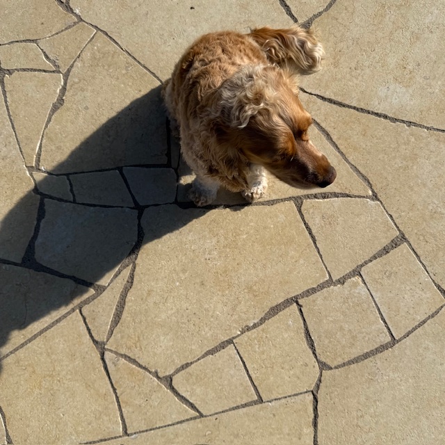 Kalkstein Polygonalplatte Catrina gelblich-cremebeige